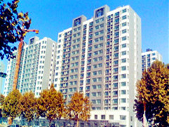 超前涂料真石漆 超前涂料真石漆