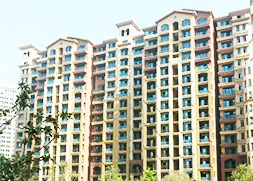 超前涂料 超前涂料