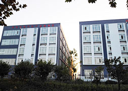 超前涂料 超前涂料